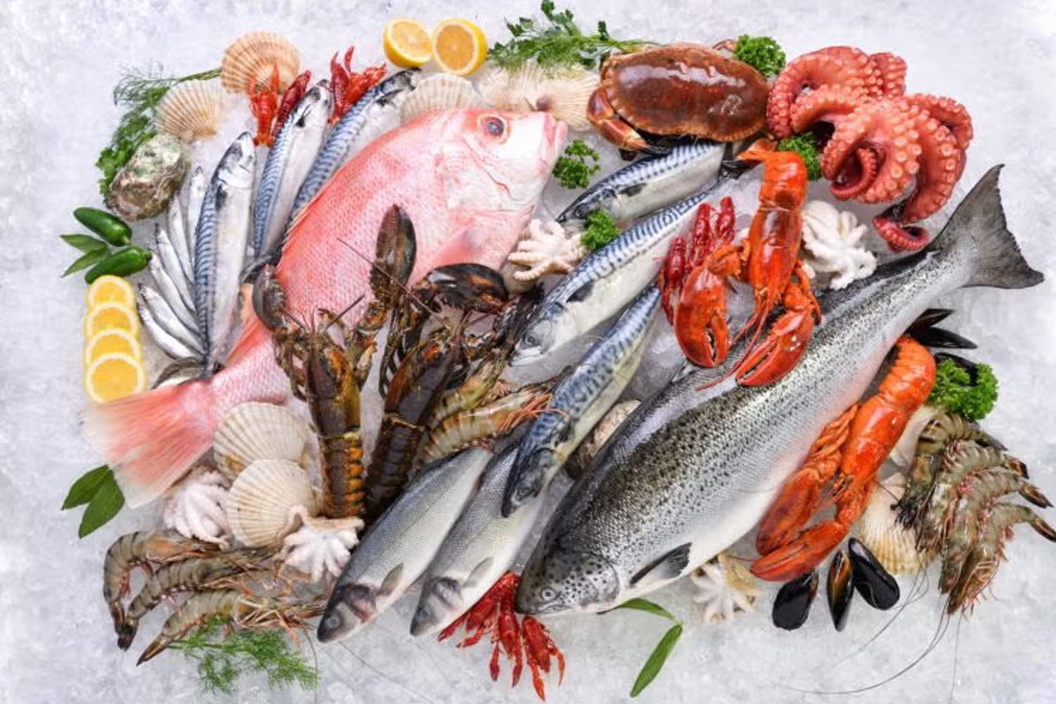 Ocean Waves VPL Fresh Sea Foods
